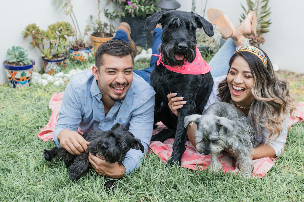 Pareja jugando con sus perros en el jardín